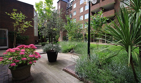 14GdnsBelgravia55EburySt